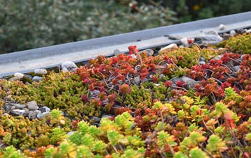 the cost of Milltown green roof installation