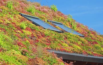 Milltown living roof systems
